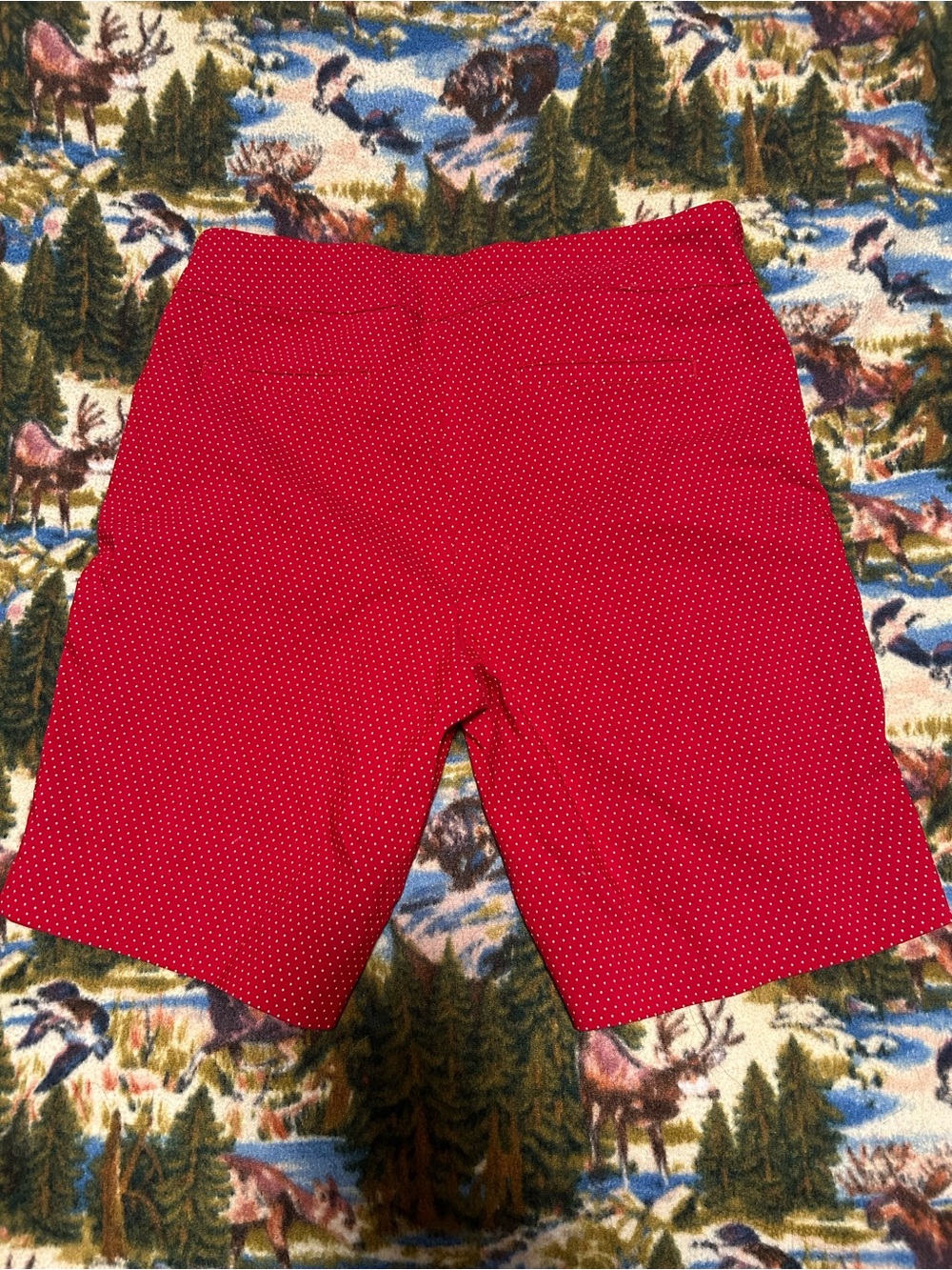 Hilary Radley 2000s polka dot red bike shorts